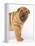 Shar-Pei-DLILLC-Framed Premier Image Canvas