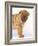 Shar-Pei-DLILLC-Framed Photographic Print