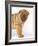 Shar-Pei-DLILLC-Framed Photographic Print