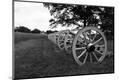 Photographic Print