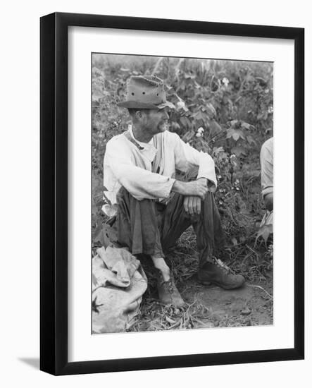 Sharecropper Bud Fields in his cotton patch in Hale County, Alabama, c.1936-Walker Evans-Framed Photographic Print