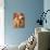 Sharing Secrets-Tamara de Lempicka-Mounted Giclee Print displayed on a wall