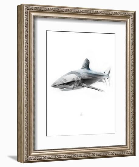 Shark 1-Alexis Marcou-Framed Premium Giclee Print