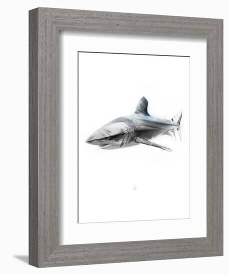 Shark 1-Alexis Marcou-Framed Premium Giclee Print