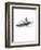 Shark 1-Alexis Marcou-Framed Premium Giclee Print