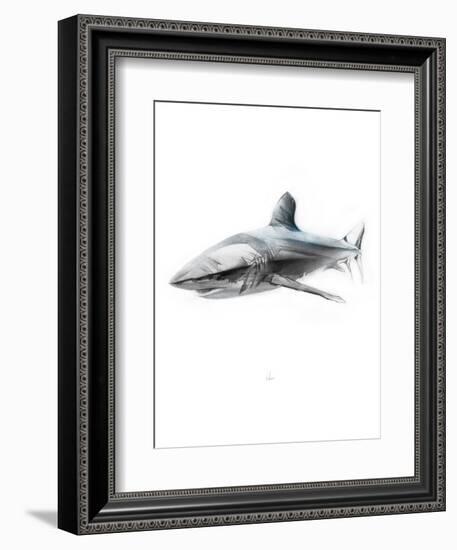 Shark 1-Alexis Marcou-Framed Premium Giclee Print