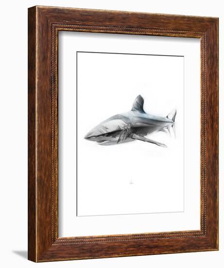 Shark 1-Alexis Marcou-Framed Art Print