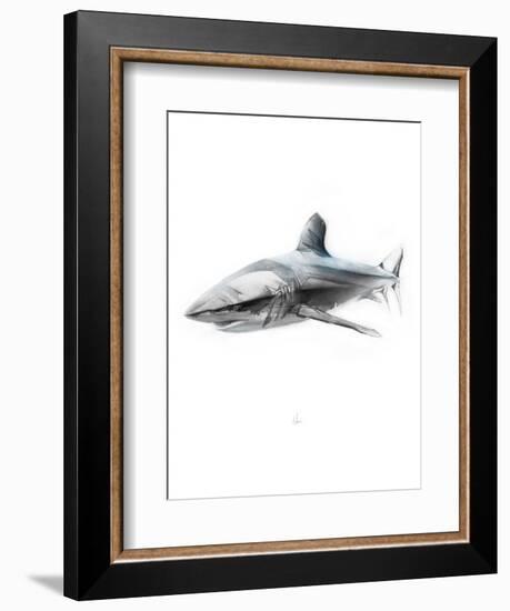 Shark 1-Alexis Marcou-Framed Art Print