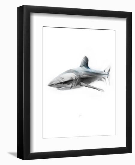 Shark 1-Alexis Marcou-Framed Art Print