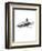 Shark 1-Alexis Marcou-Framed Art Print