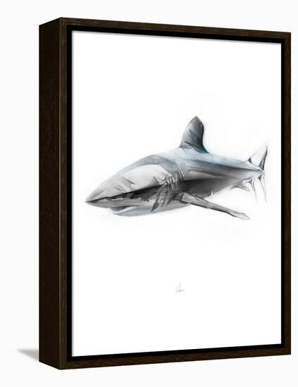 Shark 1-Alexis Marcou-Framed Stretched Canvas