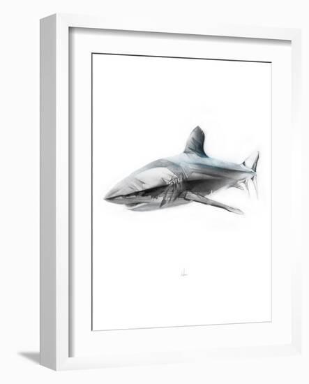 Shark 1-Alexis Marcou-Framed Art Print