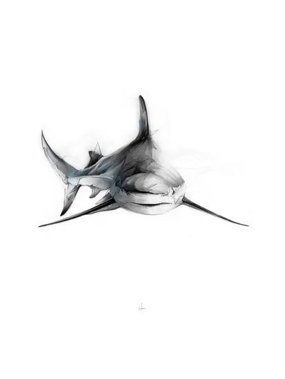 pic Shark Pictures To Print shark 2 by alexis marcou