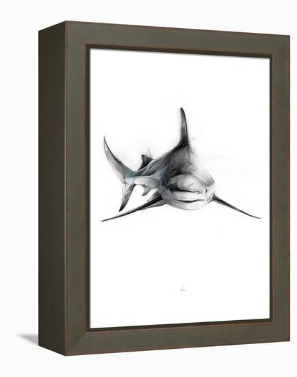 Shark 2-Alexis Marcou-Framed Stretched Canvas