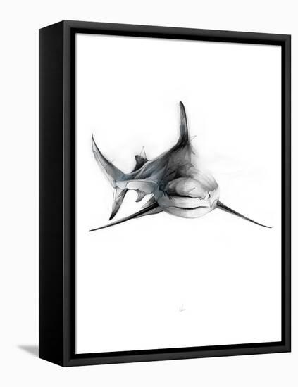 Shark 2-Alexis Marcou-Framed Stretched Canvas