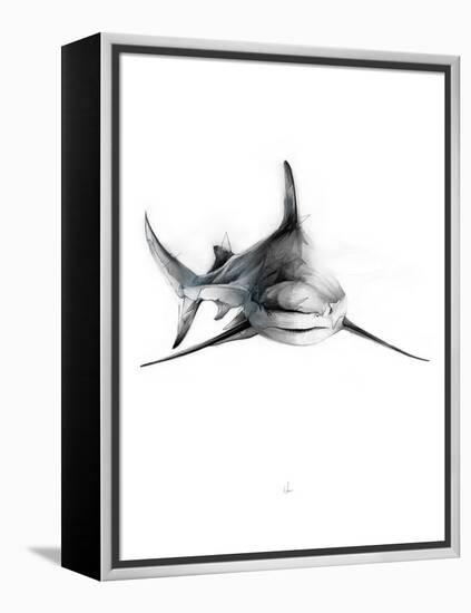 Shark 2-Alexis Marcou-Framed Stretched Canvas