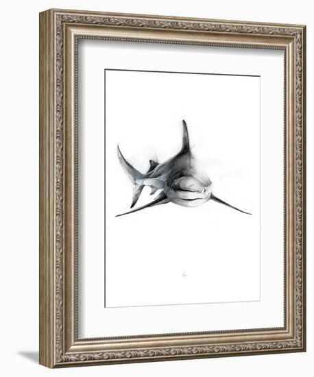 Shark 2-Alexis Marcou-Framed Art Print