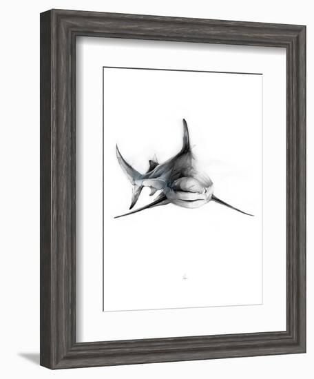 Shark 2-Alexis Marcou-Framed Art Print