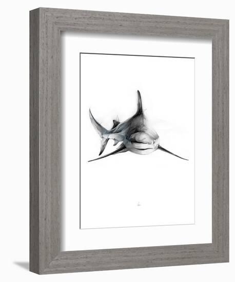 Shark 2-Alexis Marcou-Framed Art Print