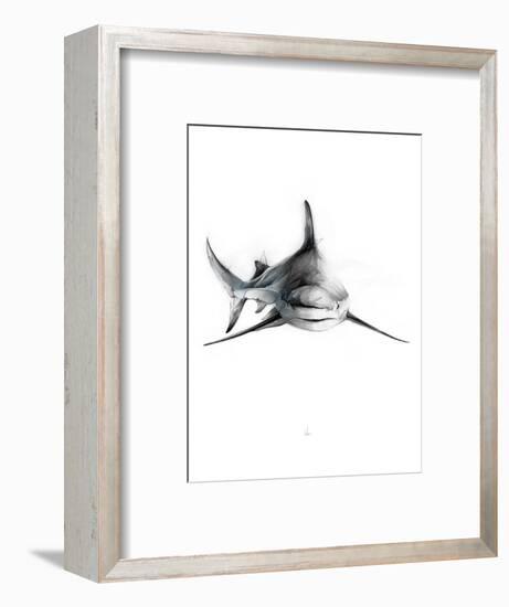 Shark 2-Alexis Marcou-Framed Art Print
