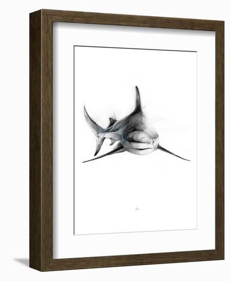 Shark 2-Alexis Marcou-Framed Art Print