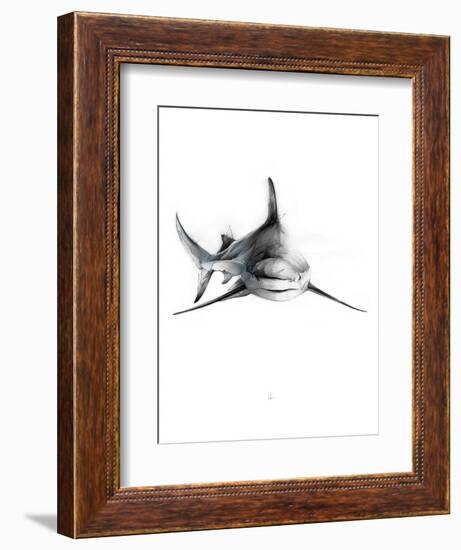 Shark 2-Alexis Marcou-Framed Art Print