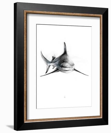 Shark 2-Alexis Marcou-Framed Art Print