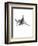 Shark 2-Alexis Marcou-Framed Premium Giclee Print