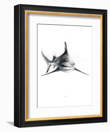Shark 2-Alexis Marcou-Framed Premium Giclee Print