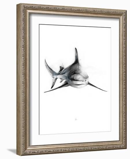 Shark 2-Alexis Marcou-Framed Art Print