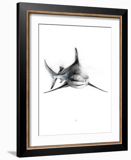 Shark 2-Alexis Marcou-Framed Art Print