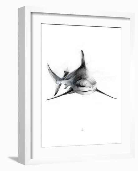 Shark 2-Alexis Marcou-Framed Art Print