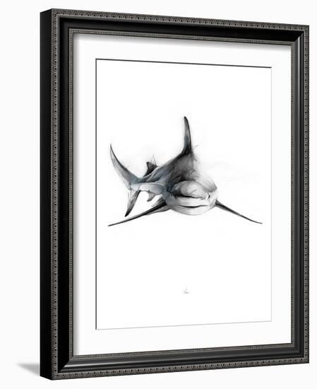 Shark 2-Alexis Marcou-Framed Art Print