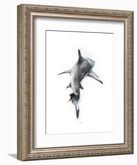 Shark 3-Alexis Marcou-Framed Premium Giclee Print