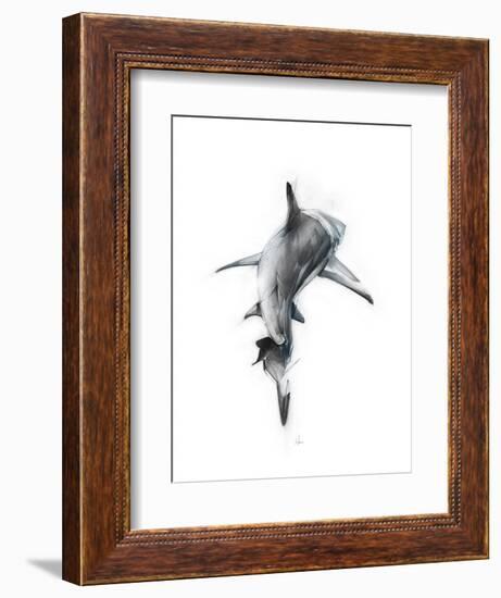 Shark 3-Alexis Marcou-Framed Premium Giclee Print