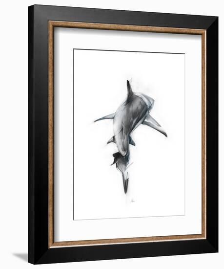 Shark 3-Alexis Marcou-Framed Premium Giclee Print