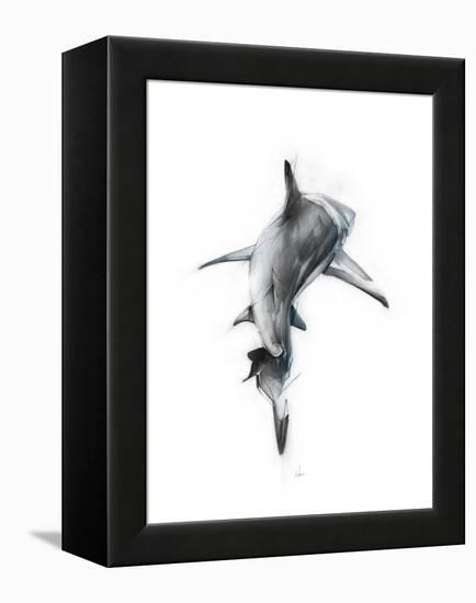 Shark 3-Alexis Marcou-Framed Stretched Canvas