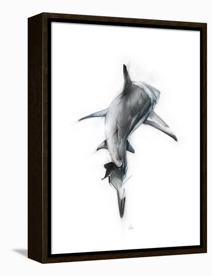 Shark 3-Alexis Marcou-Framed Stretched Canvas
