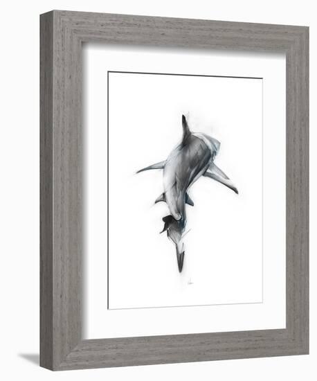 Shark 3-Alexis Marcou-Framed Art Print