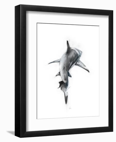 Shark 3-Alexis Marcou-Framed Art Print