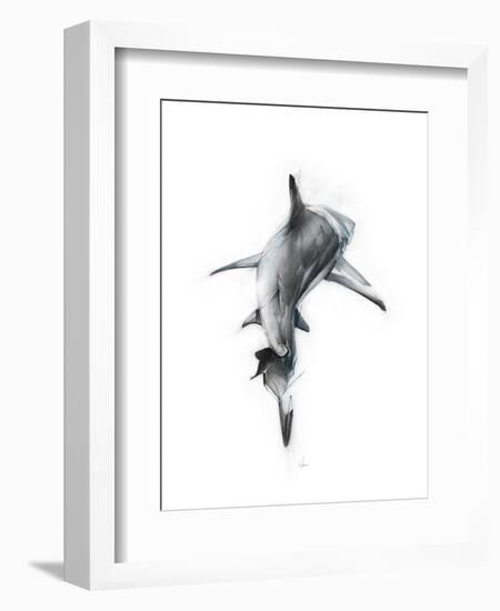 Shark 3-Alexis Marcou-Framed Art Print