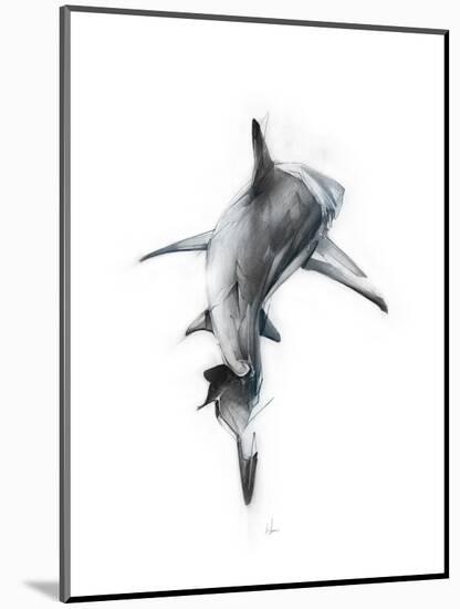 Shark 3-Alexis Marcou-Mounted Art Print