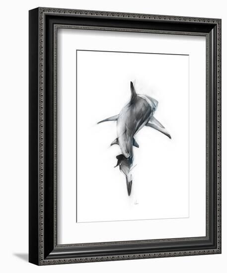 Shark 3-Alexis Marcou-Framed Art Print