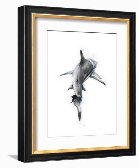 Shark 3-Alexis Marcou-Framed Art Print