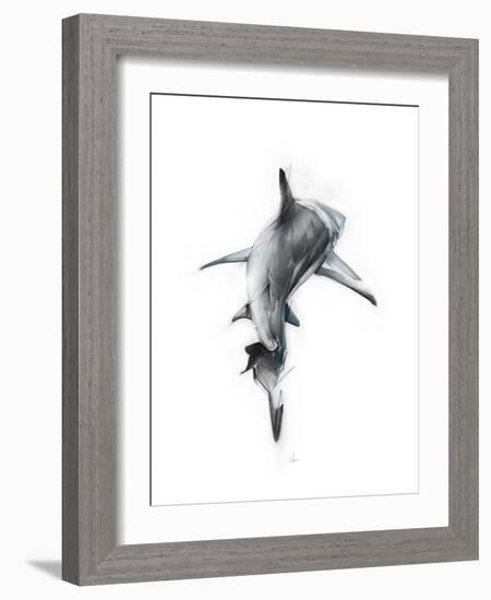 Shark 3-Alexis Marcou-Framed Art Print