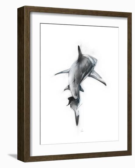 Shark 3-Alexis Marcou-Framed Art Print