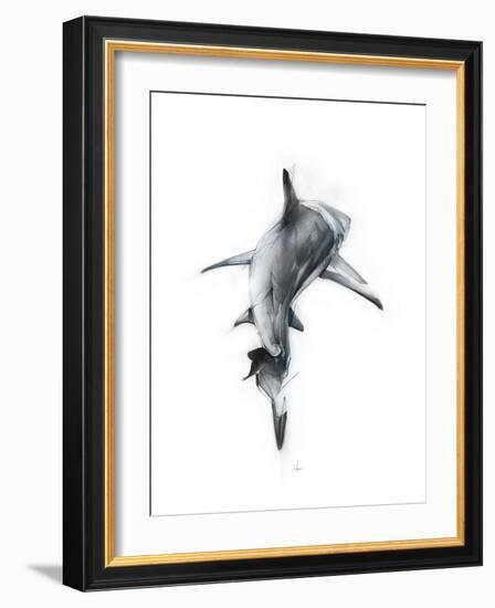 Shark 3-Alexis Marcou-Framed Art Print