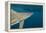 Shark and Remora, Shark Dive, Umkomaas, KwaZulu-Natal, South Africa-Pete Oxford-Framed Premier Image Canvas