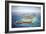 Shark Attack-John Bradley-Framed Giclee Print