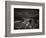 Shark Dorsal Fin-Henry Horenstein-Framed Photographic Print